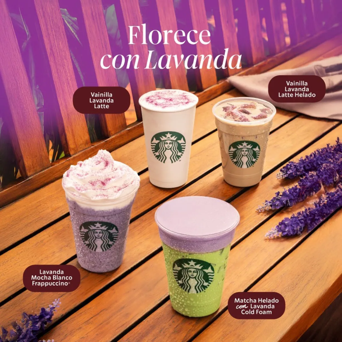 Florece con Lavanda